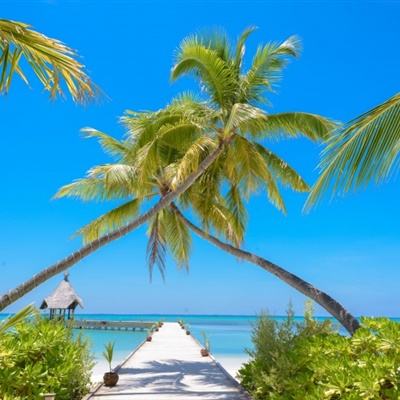 乐鱼(中国)官方网站下载手机版