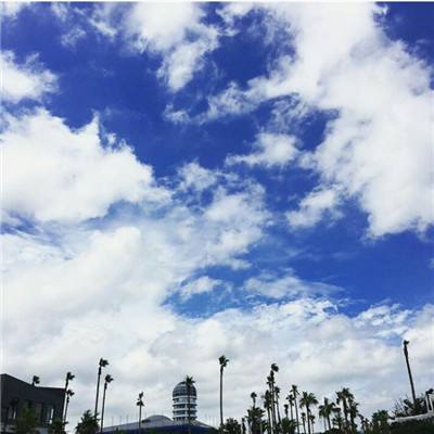 管家婆期期四肖四码中特管家app下载