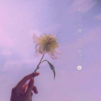 皇冠APP官方版下载安装