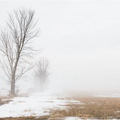 开元游戏大厅网站