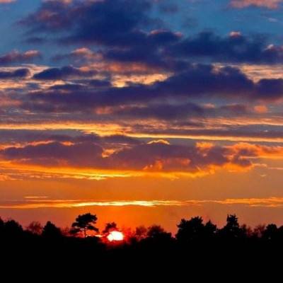 爱游戏·体育APP